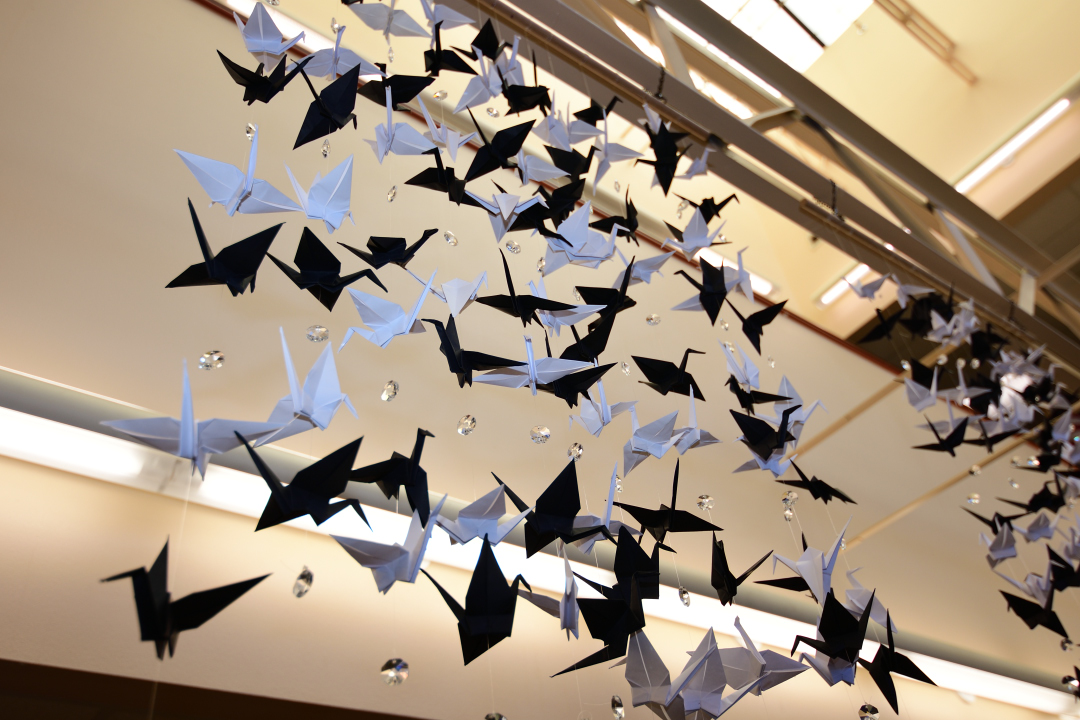 Catalog Help Marshall Public Library